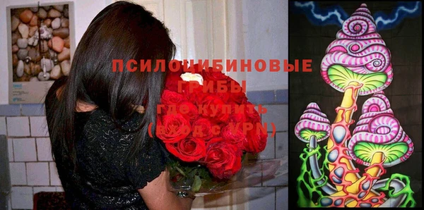 дмт Краснотурьинск