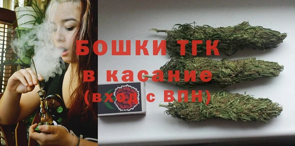 гидра Красноперекопск